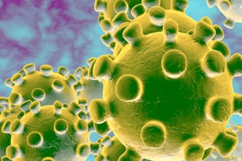 Casos sem sintomas, leves e graves: as diferentes evoluções do coronavírus